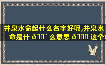 井泉水命起什么名字好呢,井泉水命是什 🐴 么意思 🐕 这个命好不好